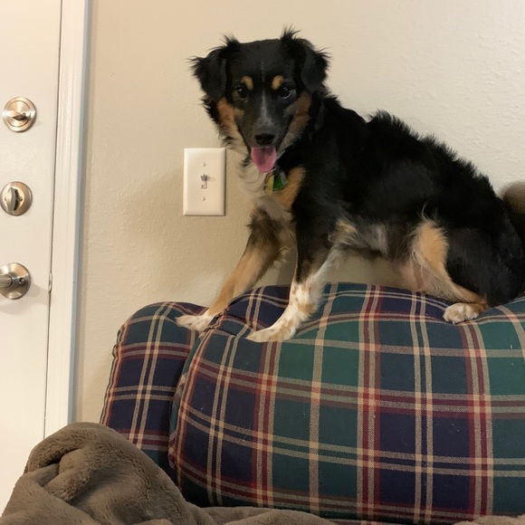 Meet your Posher, Sharlene Campbell. 💕❤️💎🎉😊🎁❄️🥰 - Picture 5 of 12